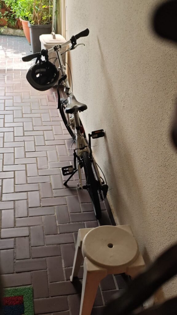 bicycle disposal singapore