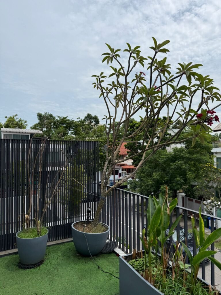 Garden disposal singapore