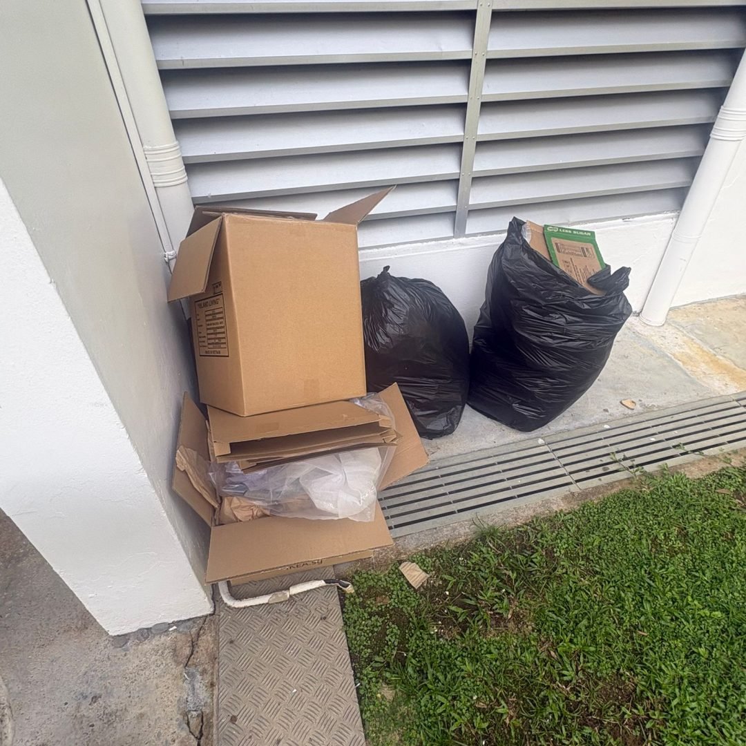 Junk removal service