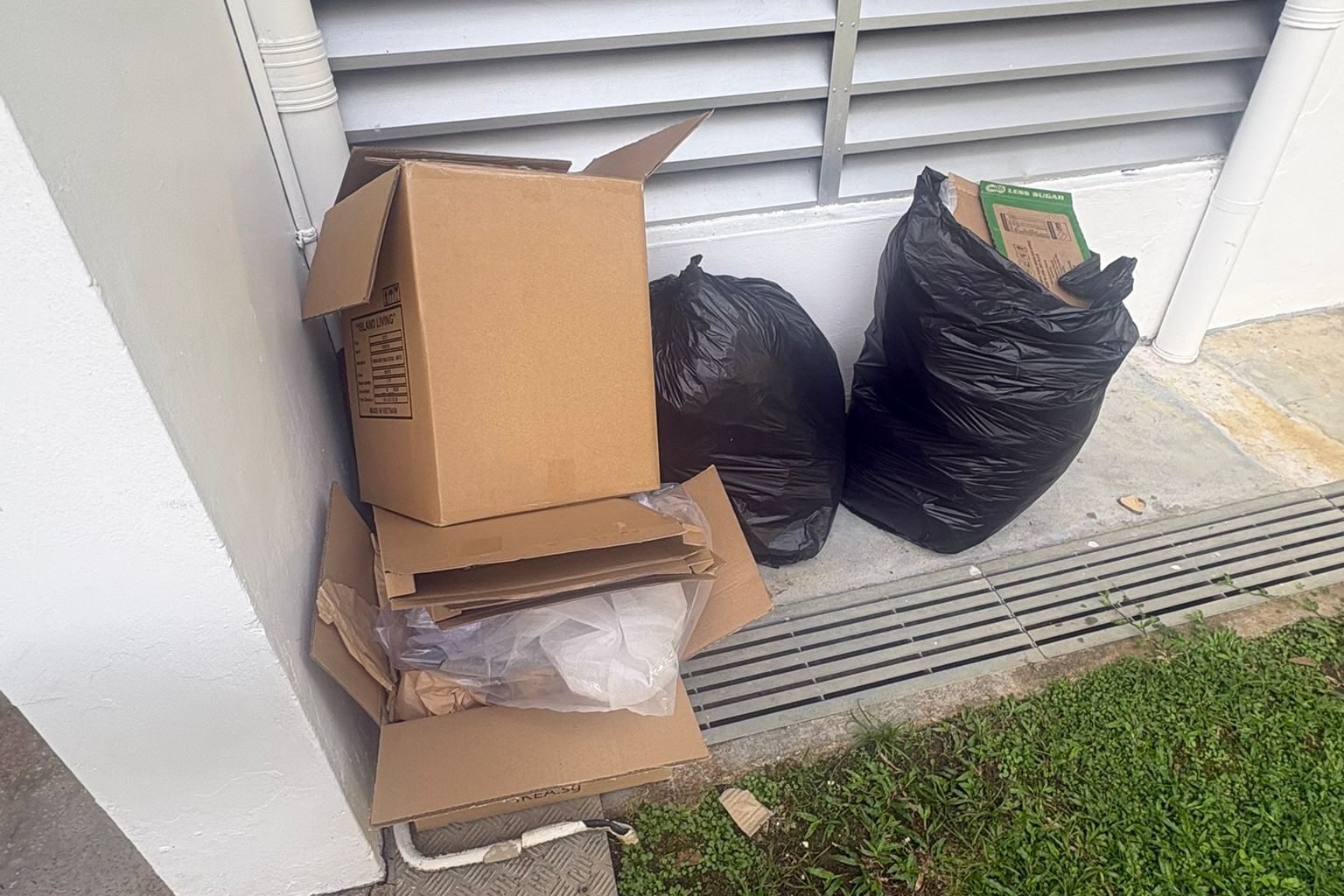 Junk removal service